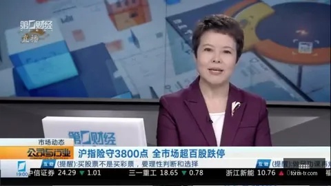 加拿大央行决策：利率保持稳定，2026最新动态